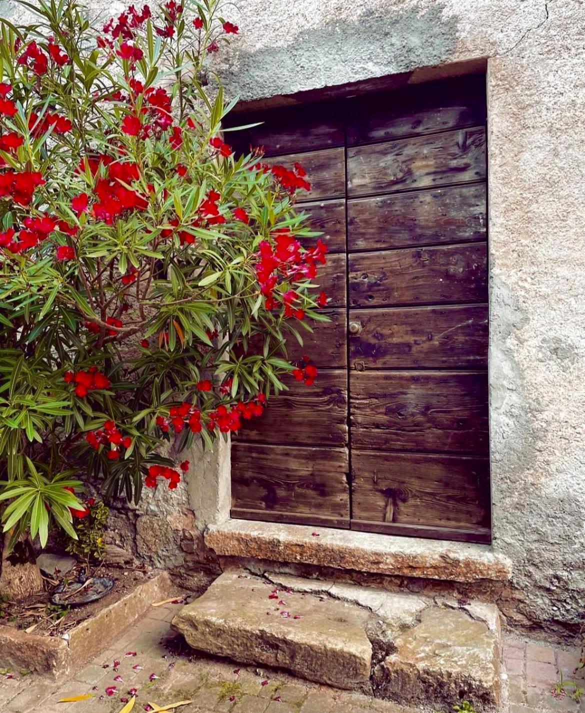Agriturismo La Vecchia Chioderia Грандола-ед-Унити Экстерьер фото