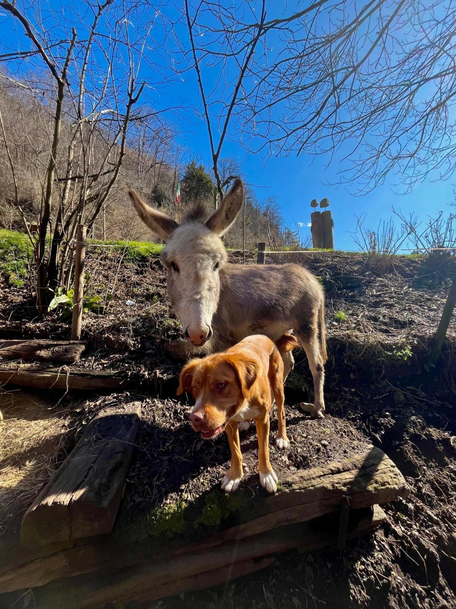 Agriturismo La Vecchia Chioderia Грандола-ед-Унити Экстерьер фото